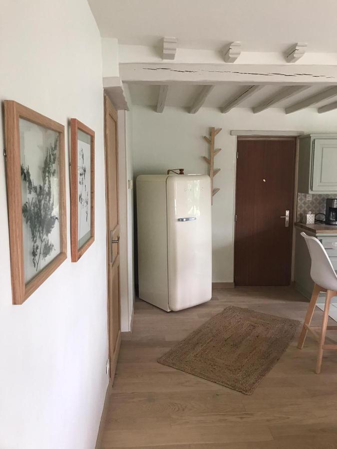 Thomery Ambiance Seine - Appartement 46M2 Terrasse - Hortensia מראה חיצוני תמונה